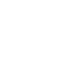 Icon (2)